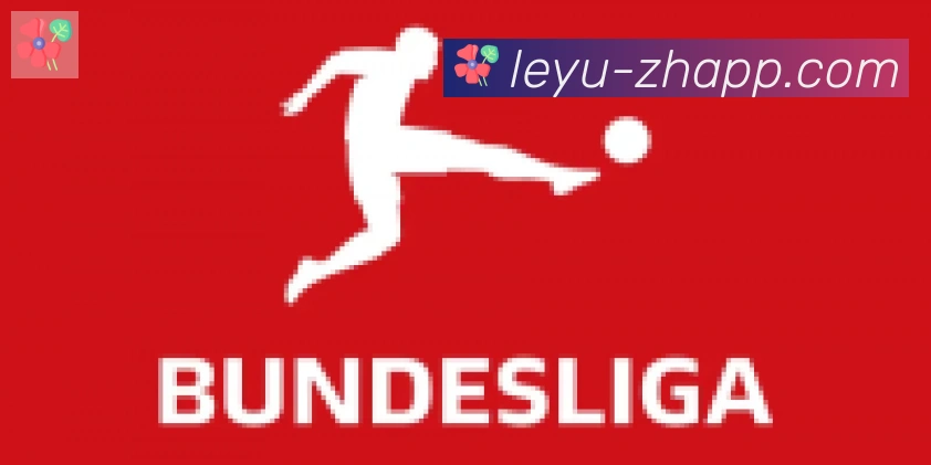 乐鱼leyu合作伙伴